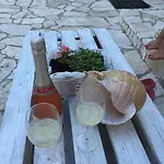 Neda * Drače