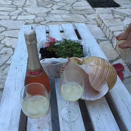 Neda * Drače
